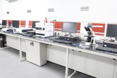 WhatsApp-Image-2025-04-22-at-10.32.29-AM-6